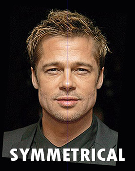 Brad Pitt - Front Head - Symmetrical